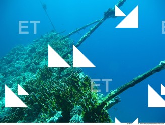 Photo Reference of Shipwreck