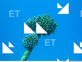 Photo Reference of Shipwreck