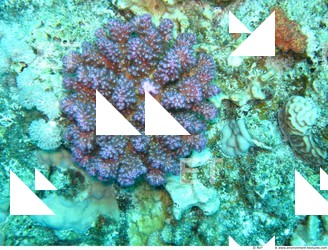 Photo Reference of Shipwreck