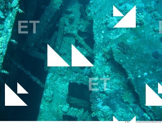 Photo Reference of Shipwreck