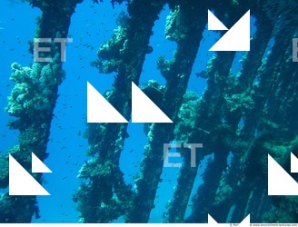 Photo Reference of Shipwreck