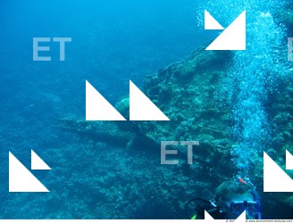 Photo Reference of Shipwreck