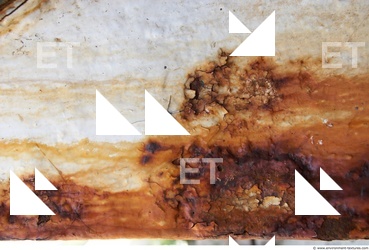 Detail Rust Metal