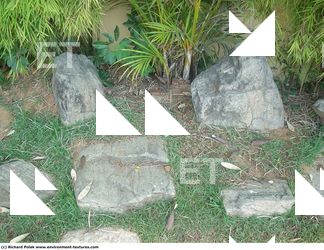 Cliffs Overgrown Rock