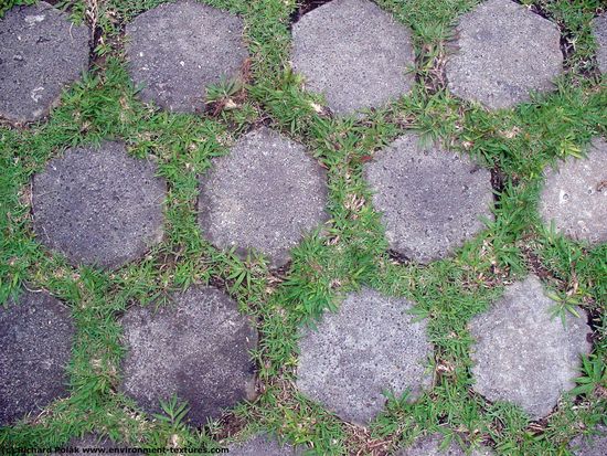 Overgrown Floors