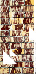 Photo Texture of Patterned Tiles