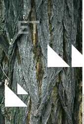 Tree Bark