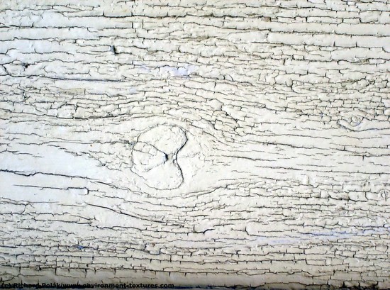 Rough Wood