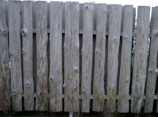 Various Planks Wood