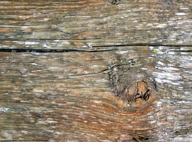 Rough Wood