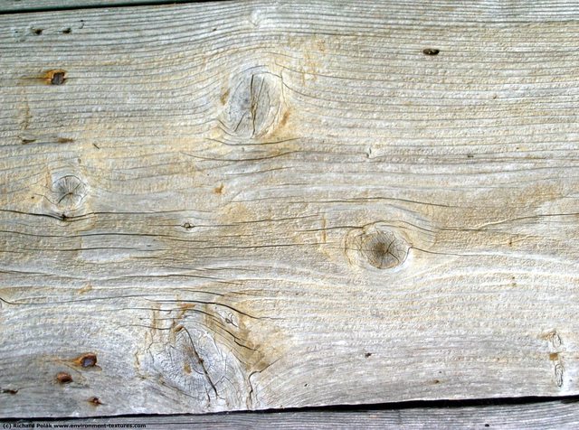 Rough Wood