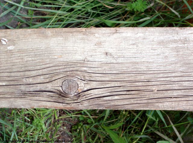 Rough Wood