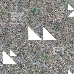 Seamless Grass Dead