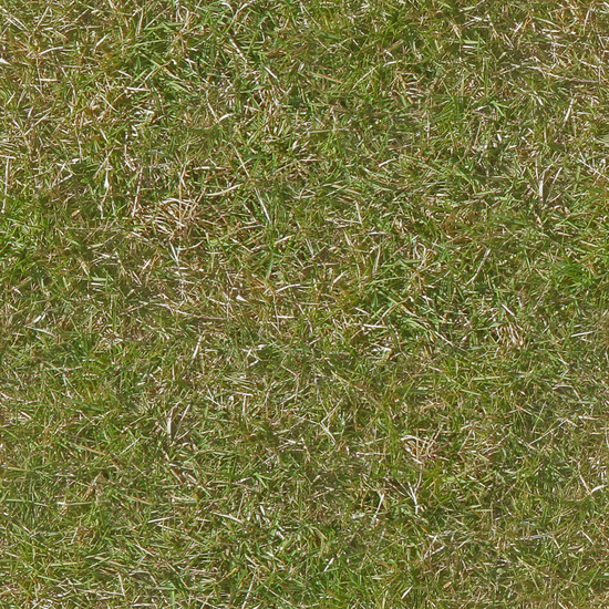 Seamless Grass