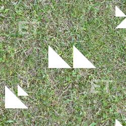 Seamless Grass
