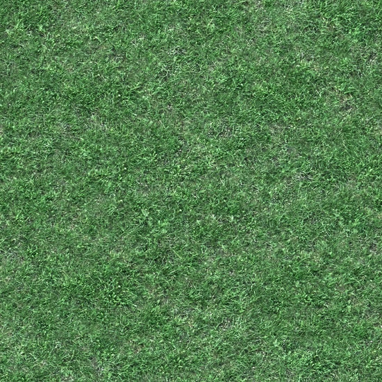 Seamless Grass