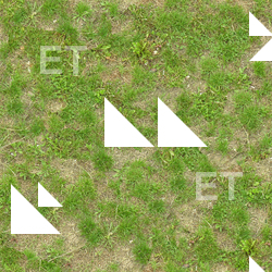 Seamless Grass