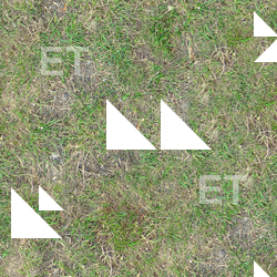 Seamless Grass
