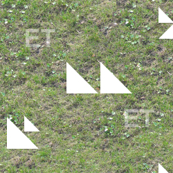Seamless Grass