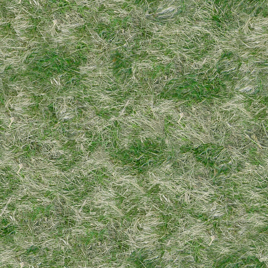 Seamless Grass