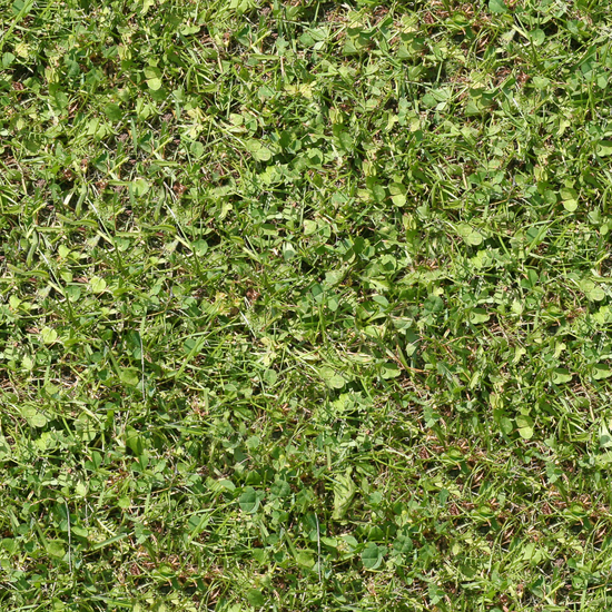 Seamless Grass