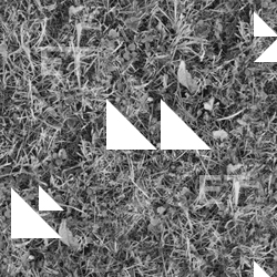 Seamless Grass