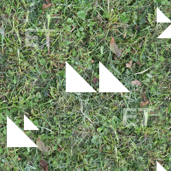 Seamless Grass