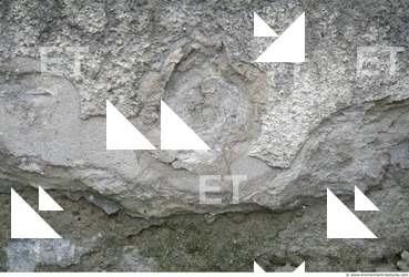 Walls Plaster Damaged