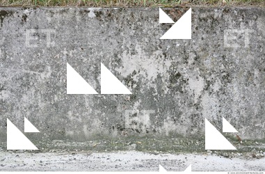 Walls Plaster Damaged