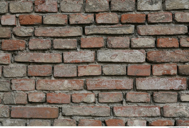 Wall Bricks Damaged