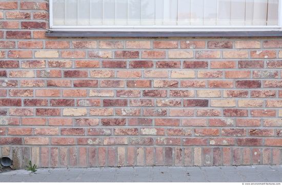 Wall Bricks Damaged