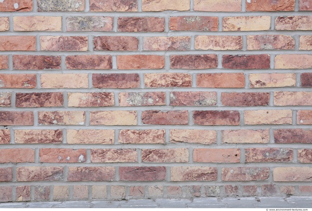 Wall Bricks Damaged