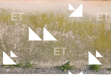 Walls Plaster Damaged