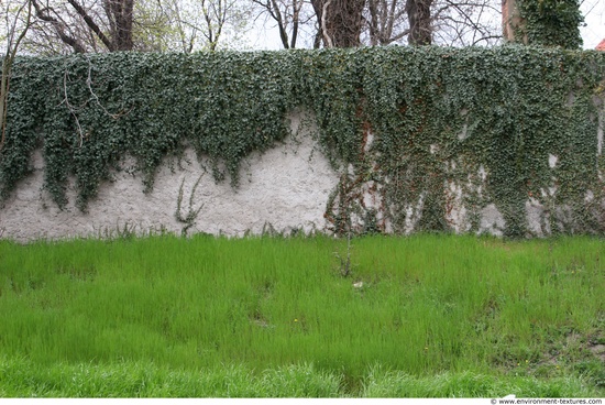 Walls Facade Stones Wall Bricks Overgrown