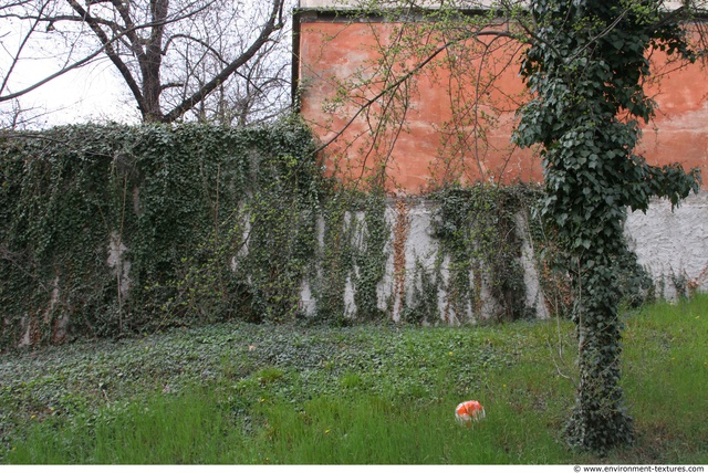 Walls Facade Stones Wall Bricks Overgrown