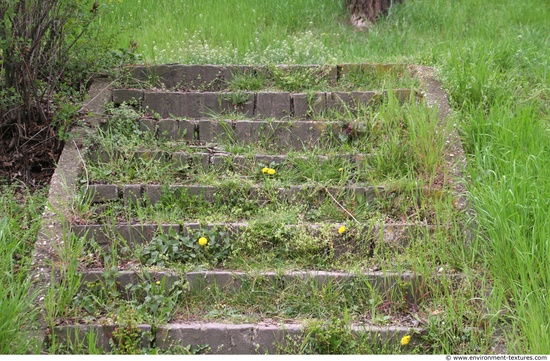 Stairs Hedges