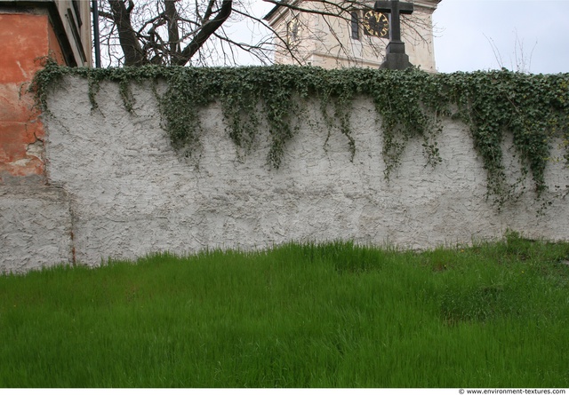 Walls Facade Stones Wall Bricks Overgrown