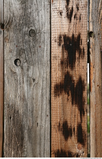 Bare Planks Wood