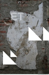 Walls Plaster Damaged