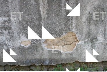 Wall Plaster Leaking