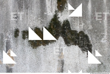 Wall Plaster Leaking