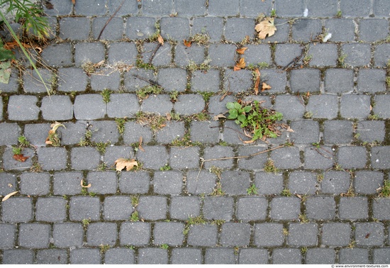 Overgrown Floors