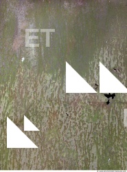 Walls Plaster Damaged