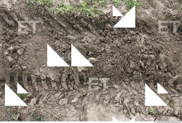 Soil Trace