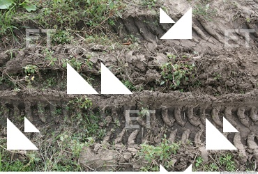Soil Trace
