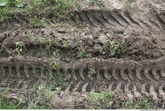 Soil Trace