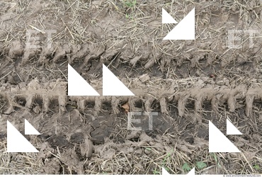 Soil Trace