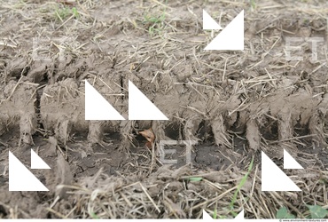 Soil Trace