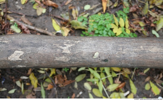 Various Planks Wood