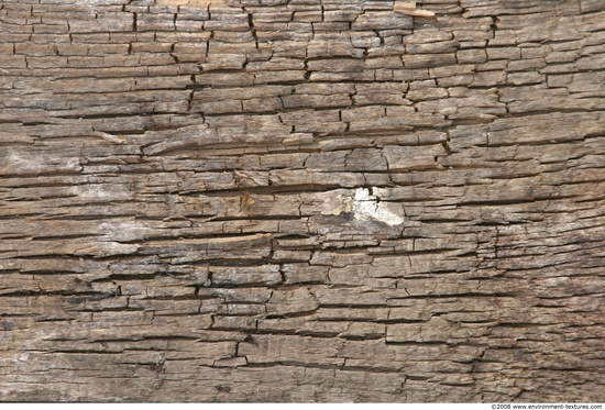 Rough Wood